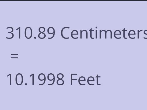 310.89 CM TO FEET