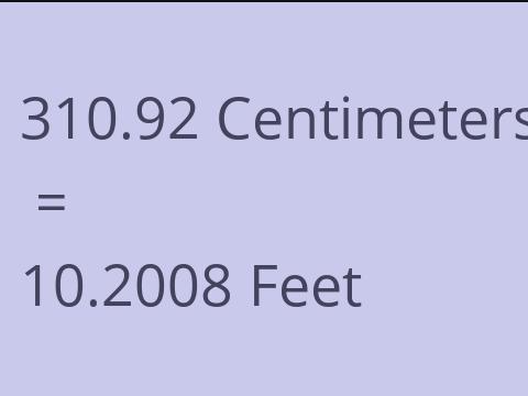 310.92 CM TO FEET