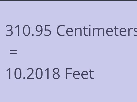 310.95 CM TO FEET