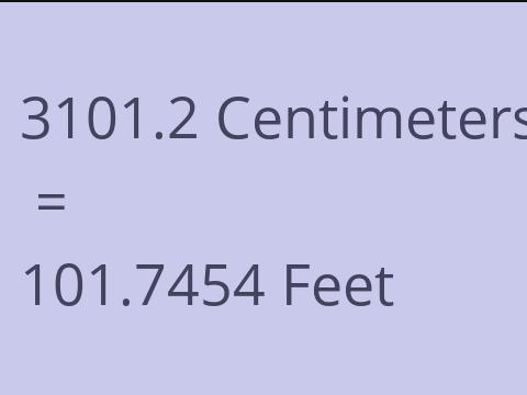 3101.2 CM TO FEET
