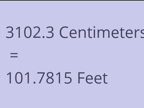 3102.3 CM TO FEET