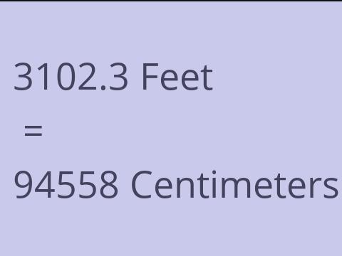 3102.3 FEET TO CM