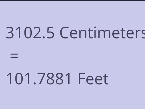 3102.5 CM TO FEET