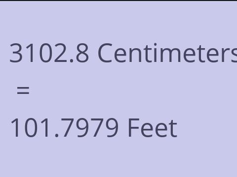 3102.8 CM TO FEET