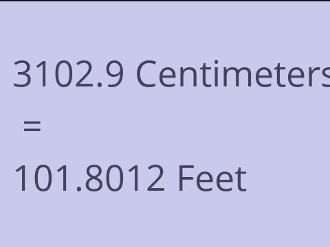 3102.9 CM TO FEET