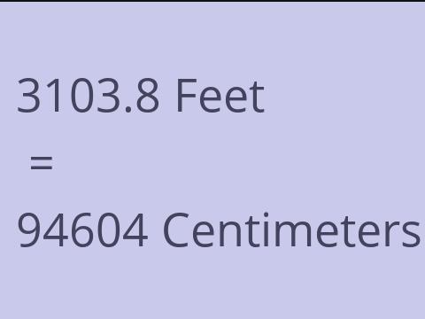 3103.8 FEET TO CM