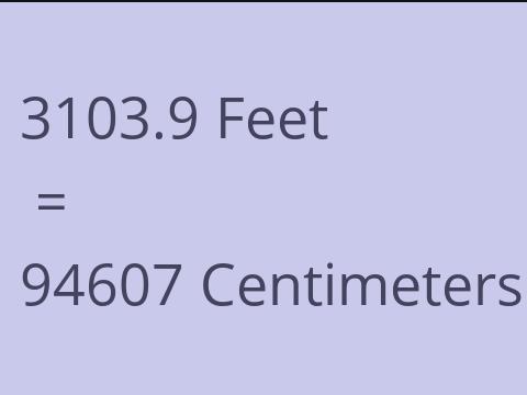 3103.9 FEET TO CM