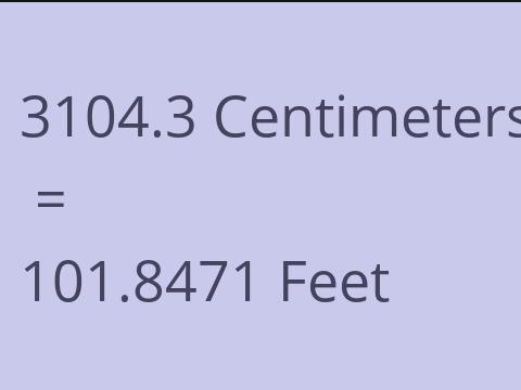 3104.3 CM TO FEET