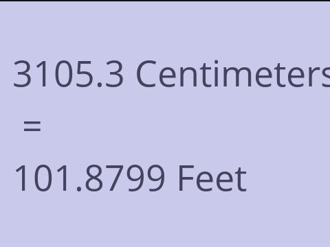 3105.3 CM TO FEET