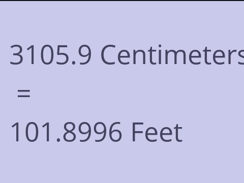 3105.9 CM TO FEET