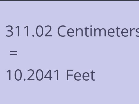 311.02 CM TO FEET