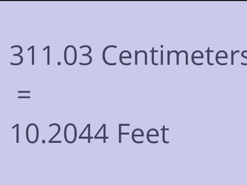 311.03 CM TO FEET