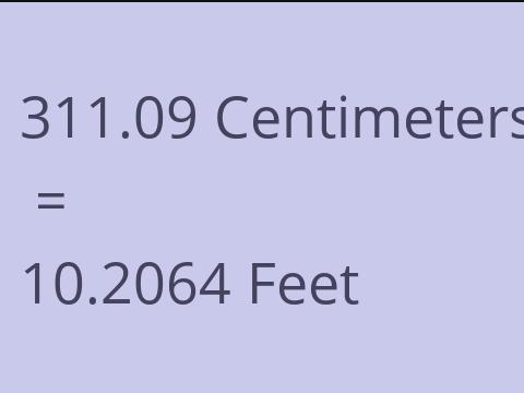 311.09 CM TO FEET