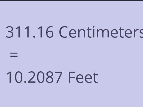 311.16 CM TO FEET