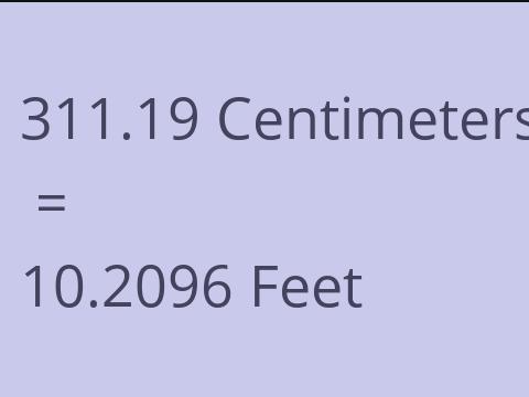 311.19 CM TO FEET