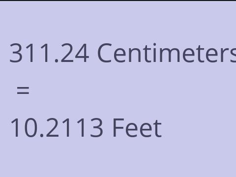 311.24 CM TO FEET