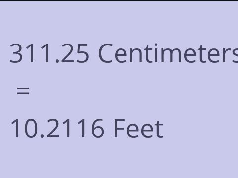 311.25 CM TO FEET