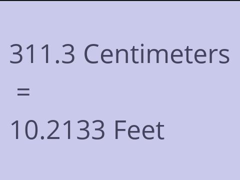 311.3 CM TO FEET