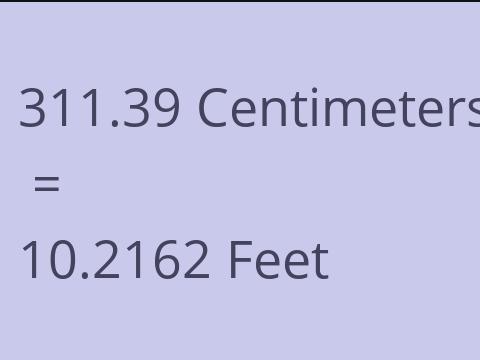 311.39 CM TO FEET