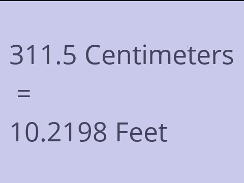 311.5 CM TO FEET