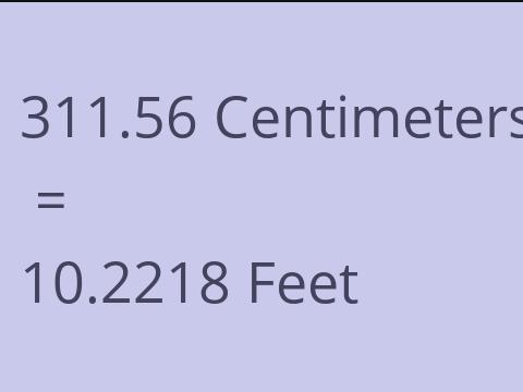 311.56 CM TO FEET