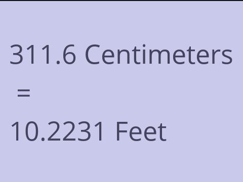 311.6 CM TO FEET