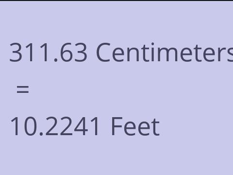 311.63 CM TO FEET