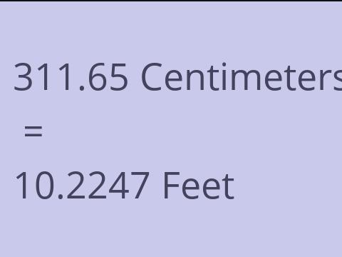 311.65 CM TO FEET