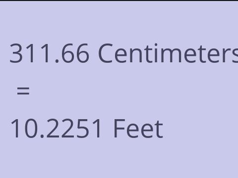 311.66 CM TO FEET