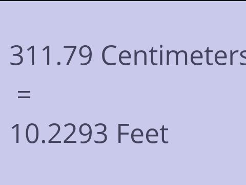 311.79 CM TO FEET