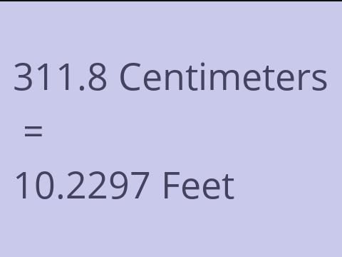 311.8 CM TO FEET