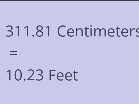 311.81 CM TO FEET