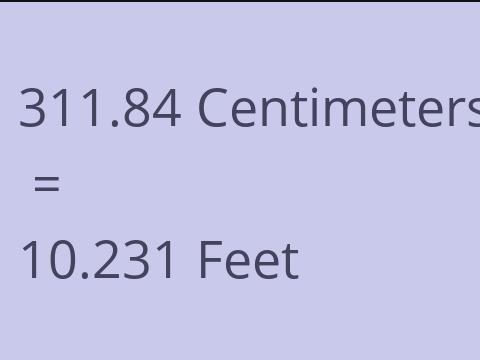 311.84 CM TO FEET