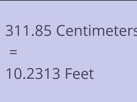 311.85 CM TO FEET