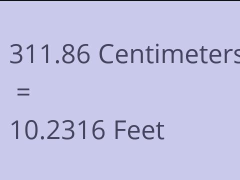 311.86 CM TO FEET