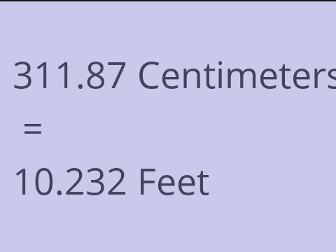 311.87 CM TO FEET