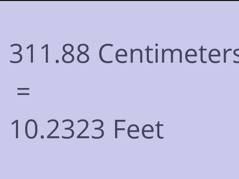 311.88 CM TO FEET