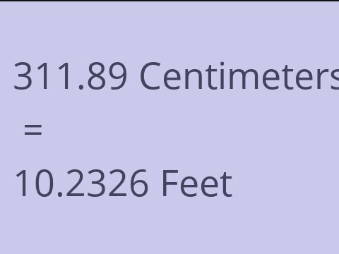 311.89 CM TO FEET