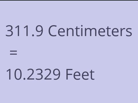 311.9 CM TO FEET