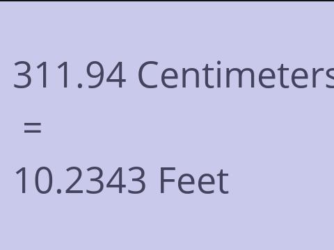 311.94 CM TO FEET