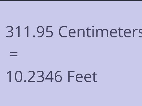 311.95 CM TO FEET