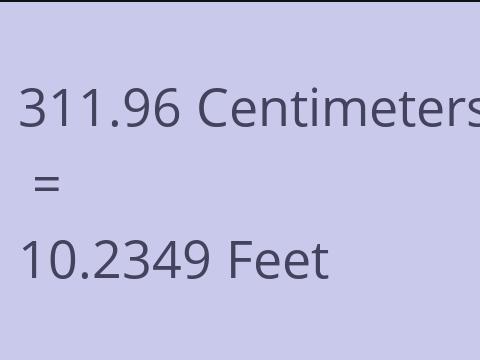 311.96 CM TO FEET