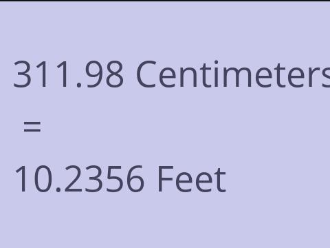 311.98 CM TO FEET