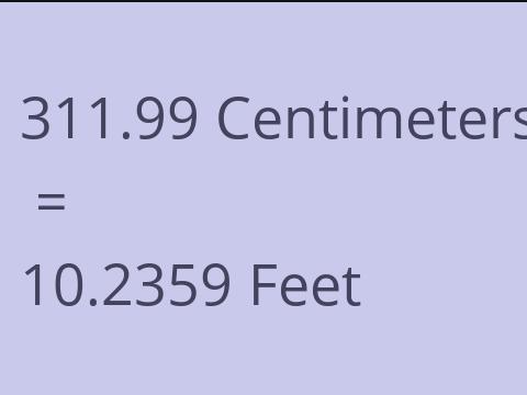 311.99 CM TO FEET