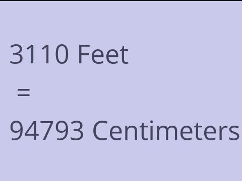 3110 FEET TO CM