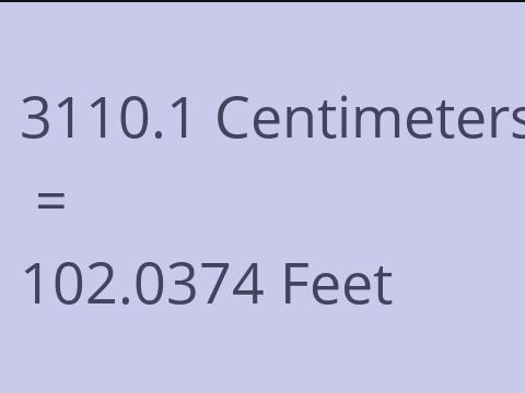 3110.1 CM TO FEET