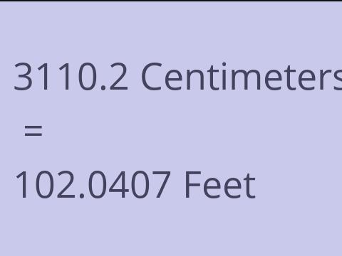 3110.2 CM TO FEET