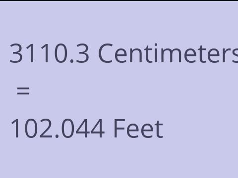 3110.3 CM TO FEET