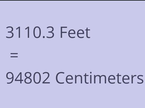 3110.3 FEET TO CM