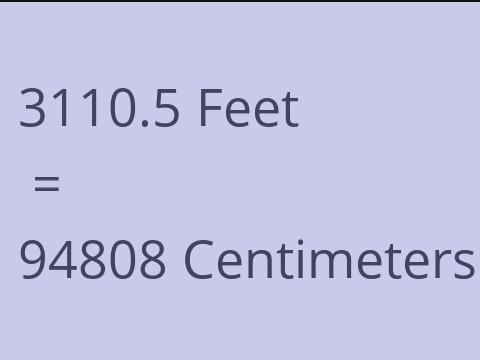 3110.5 FEET TO CM
